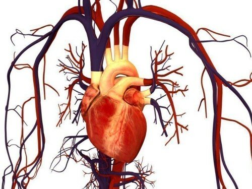 симптомы метаболической кардиомиопатии